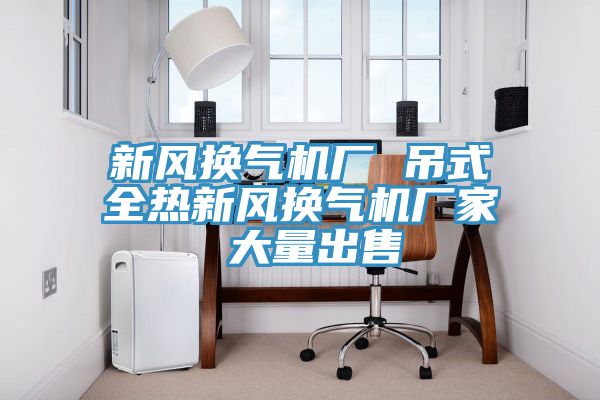 新风换气机厂 吊式全热新风换气机厂家 大量出售