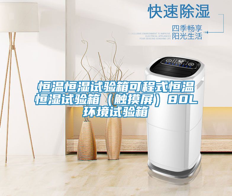 恒温恒湿试验箱可程式恒温恒湿试验箱（触摸屏）80L环境试验箱