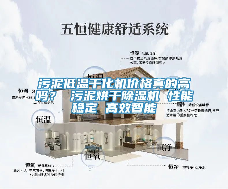 污泥低温干化机价格真的高吗？ 污泥烘干除湿机 性能稳定 高效智能