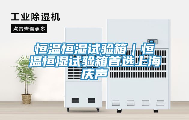 恒温恒湿试验箱｜恒温恒湿试验箱首选上海庆声