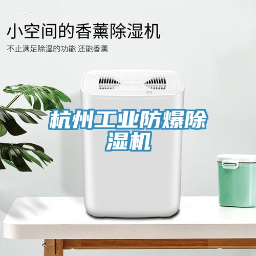 杭州工业防爆除湿机
