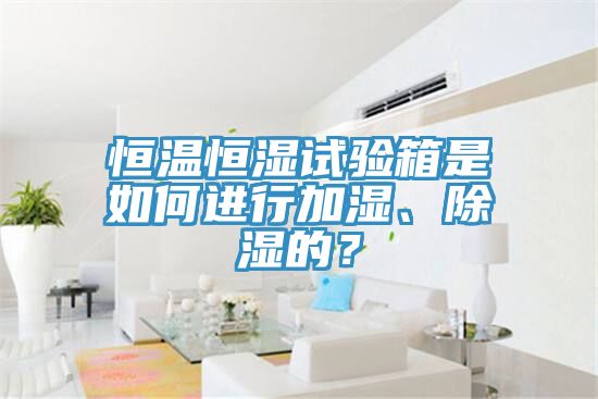 恒温恒湿试验箱是如何进行加湿、除湿的？