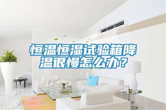 恒温恒湿试验箱降温很慢怎么办？