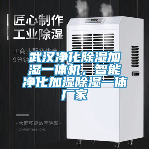 武汉净化除湿加湿一体机，智能净化加湿除湿一体厂家