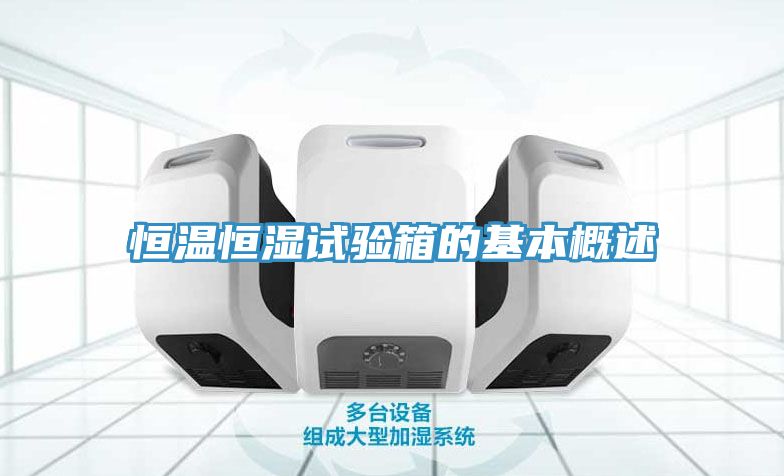 恒温恒湿试验箱的基本概述