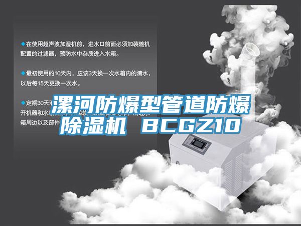 漯河防爆型管道防爆除湿机 BCGZ10