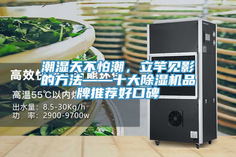 潮湿天不怕潮，立竿见影的方法——十大除湿机品牌推荐好口碑