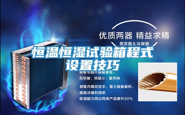 恒温恒湿试验箱程式设置技巧