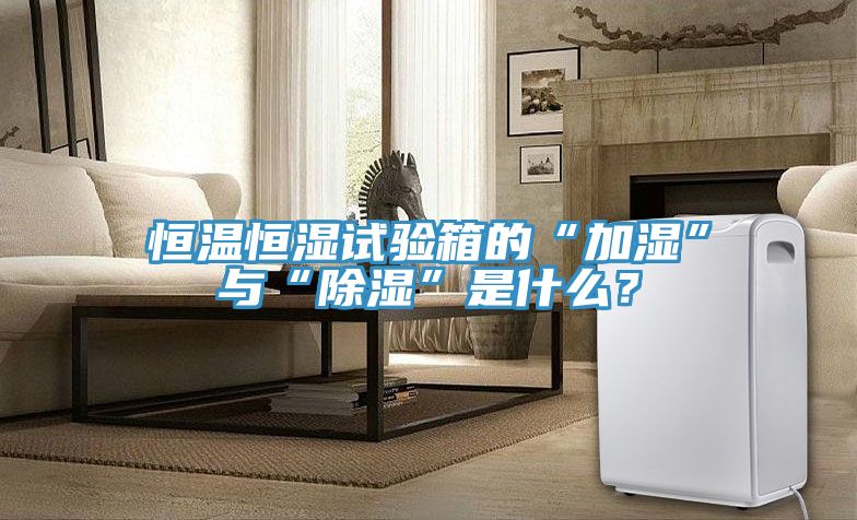 恒温恒湿试验箱的“加湿”与“除湿”是什么？
