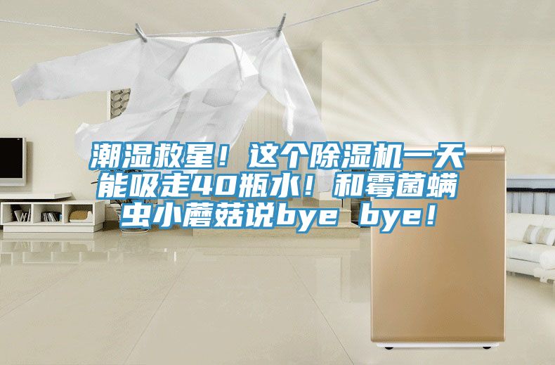 潮湿救星！这个除湿机一天能吸走40瓶水！和霉菌螨虫小蘑菇说bye bye！