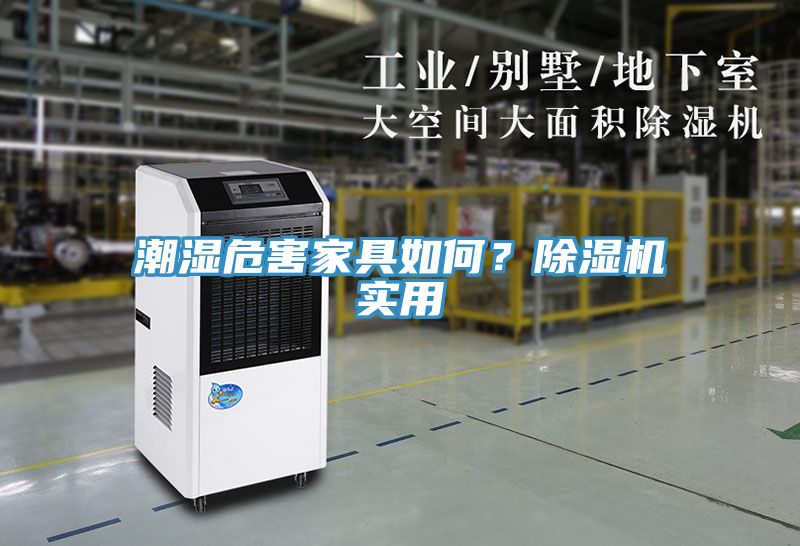 潮湿危害家具如何？除湿机实用