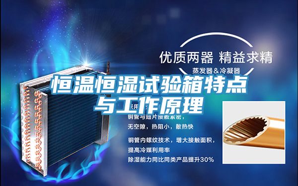 恒温恒湿试验箱特点与工作原理