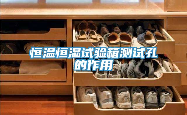 恒温恒湿试验箱测试孔的作用