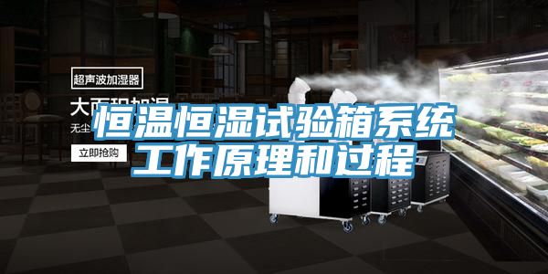 恒温恒湿试验箱系统工作原理和过程