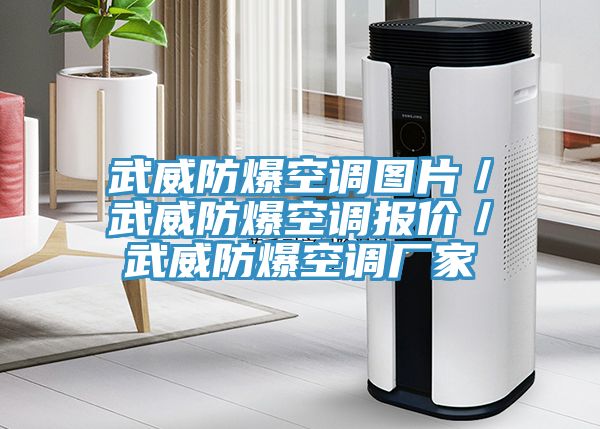 武威防爆空调图片／武威防爆空调报价／武威防爆空调厂家