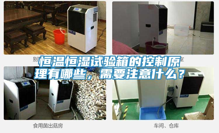 恒温恒湿试验箱的控制原理有哪些，需要注意什么？