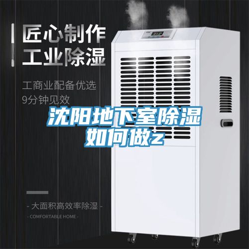 沈阳地下室除湿如何做z