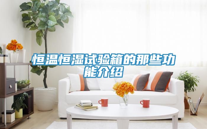 恒温恒湿试验箱的那些功能介绍