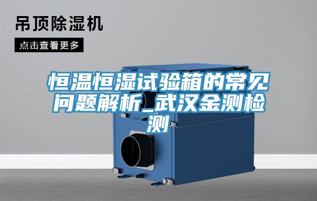 恒温恒湿试验箱的常见问题解析_武汉金测检测
