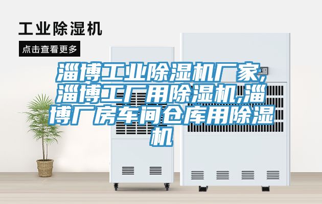淄博工业除湿机厂家,淄博工厂用除湿机,淄博厂房车间仓库用除湿机