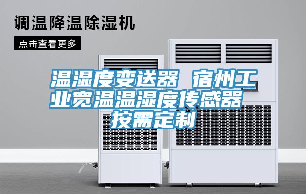温湿度变送器 宿州工业宽温温湿度传感器 按需定制