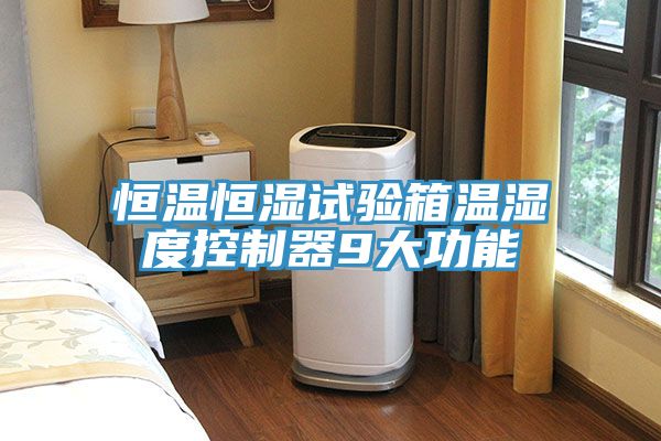 恒温恒湿试验箱温湿度控制器9大功能