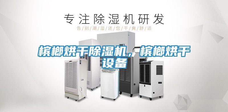 槟榔烘干除湿机，槟榔烘干设备