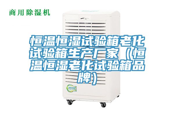 恒温恒湿试验箱老化试验箱生产厂家（恒温恒湿老化试验箱品牌）