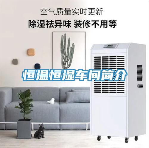 恒温恒湿车间简介