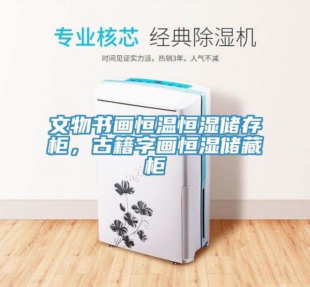 文物书画恒温恒湿储存柜，古籍字画恒湿储藏柜