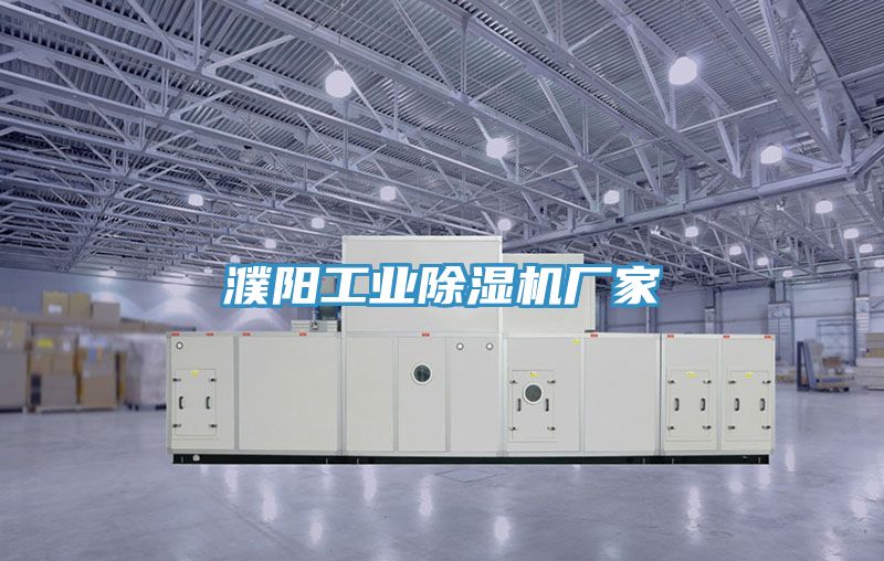 濮阳工业除湿机厂家