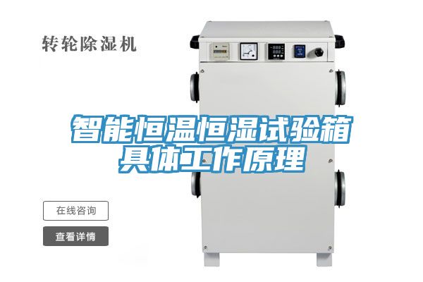 智能恒温恒湿试验箱具体工作原理