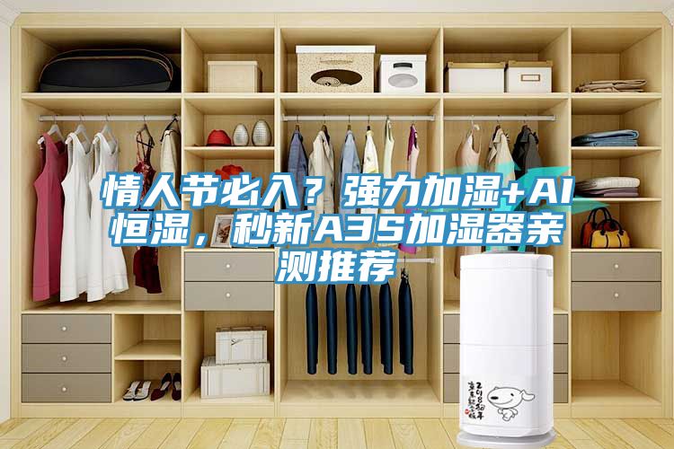情人节必入？强力加湿+AI恒湿，秒新A3S加湿器亲测推荐