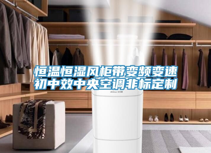 恒温恒湿风柜带变频变速初中效中央空调非标定制
