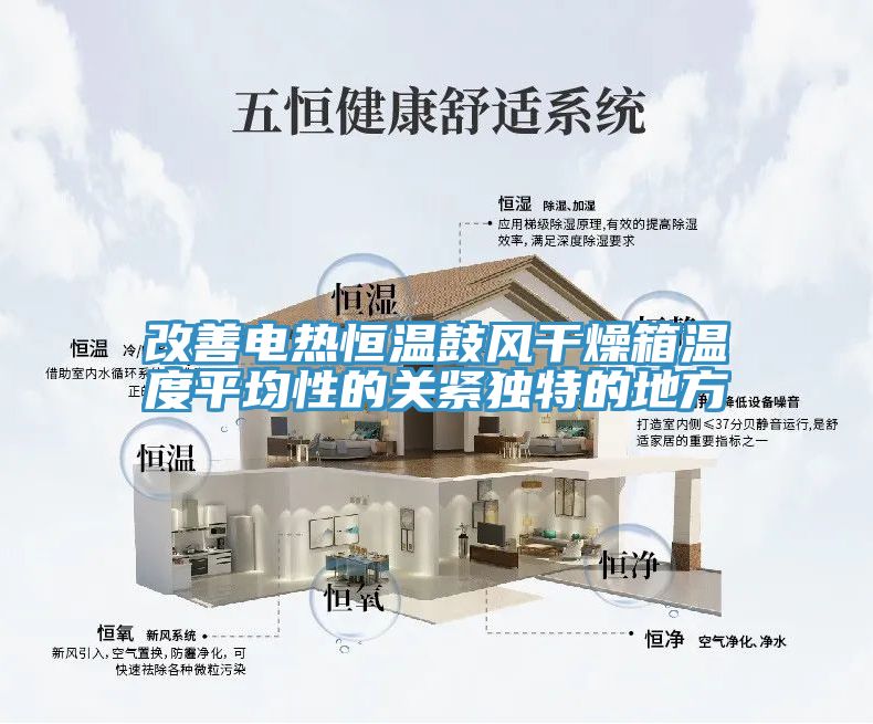 改善电热恒温鼓风干燥箱温度平均性的关紧独特的地方