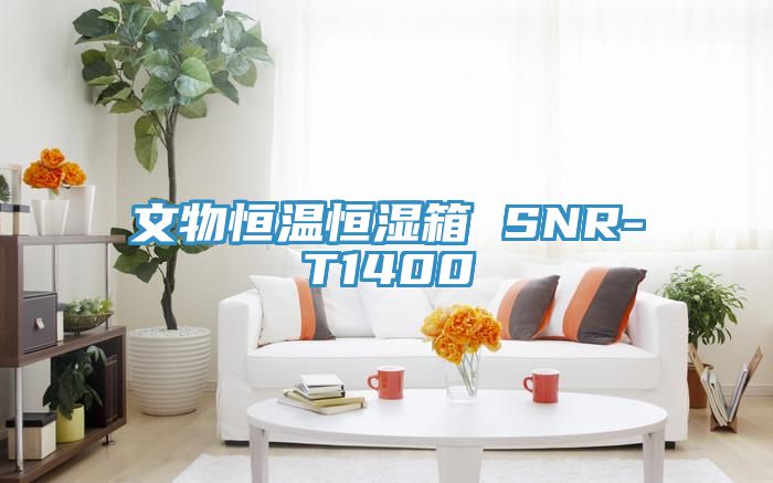 文物恒温恒湿箱 SNR-T1400