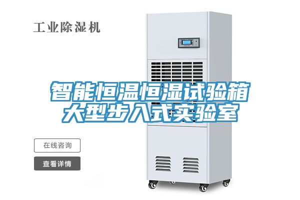 智能恒温恒湿试验箱大型步入式实验室