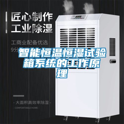 智能恒温恒湿试验箱系统的工作原理