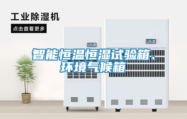 智能恒温恒湿试验箱、环境气候箱