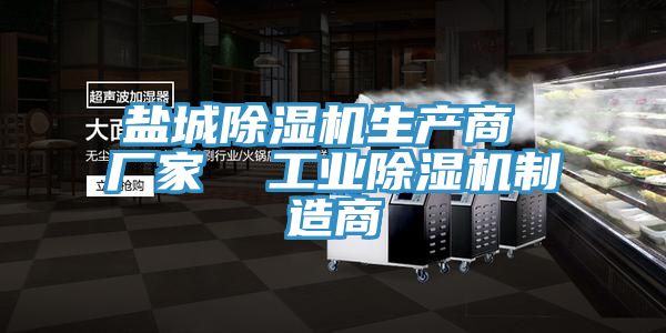 盐城除湿机生产商 厂家  工业除湿机制造商