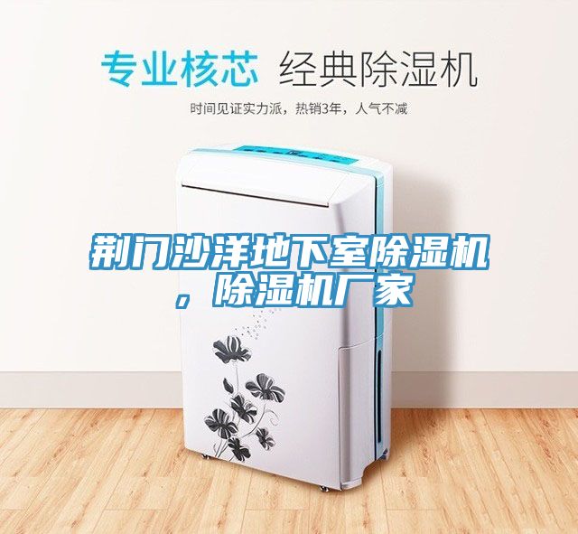 荆门沙洋地下室除湿机，除湿机厂家