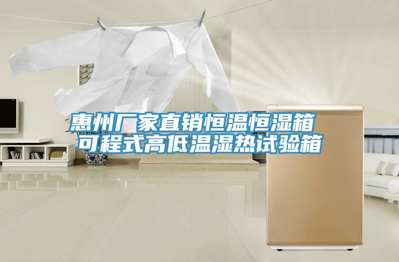 惠州厂家直销恒温恒湿箱 可程式高低温湿热试验箱