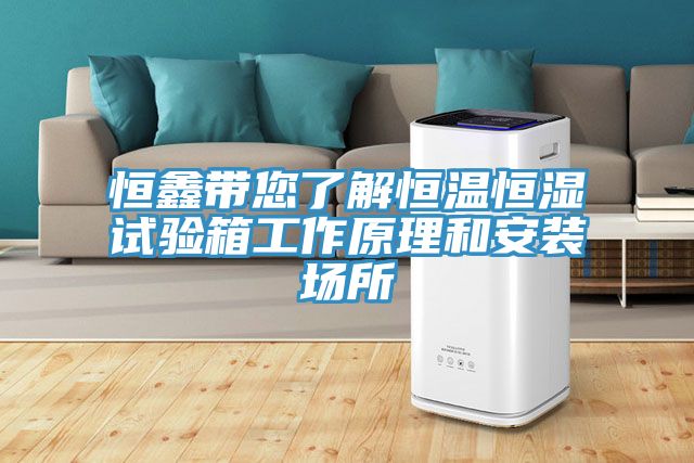 恒鑫带您了解恒温恒湿试验箱工作原理和安装场所