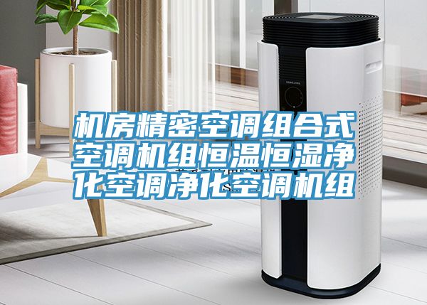 机房精密空调组合式空调机组恒温恒湿净化空调净化空调机组