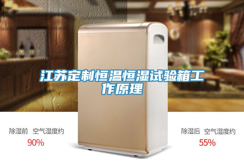 江苏定制恒温恒湿试验箱工作原理