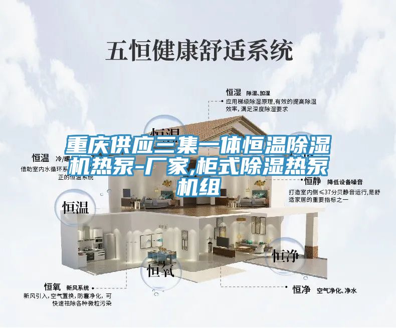 重庆供应三集一体恒温除湿机热泵-厂家,柜式除湿热泵机组
