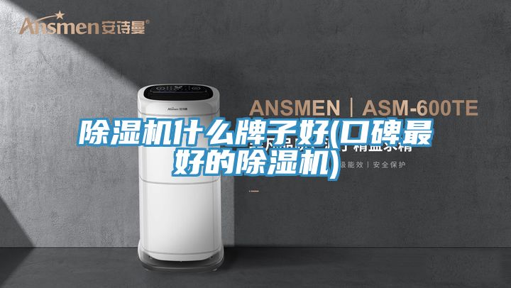除湿机什么牌子好(口碑最好的除湿机)