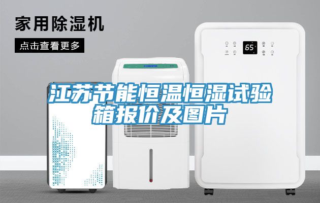 江苏节能恒温恒湿试验箱报价及图片