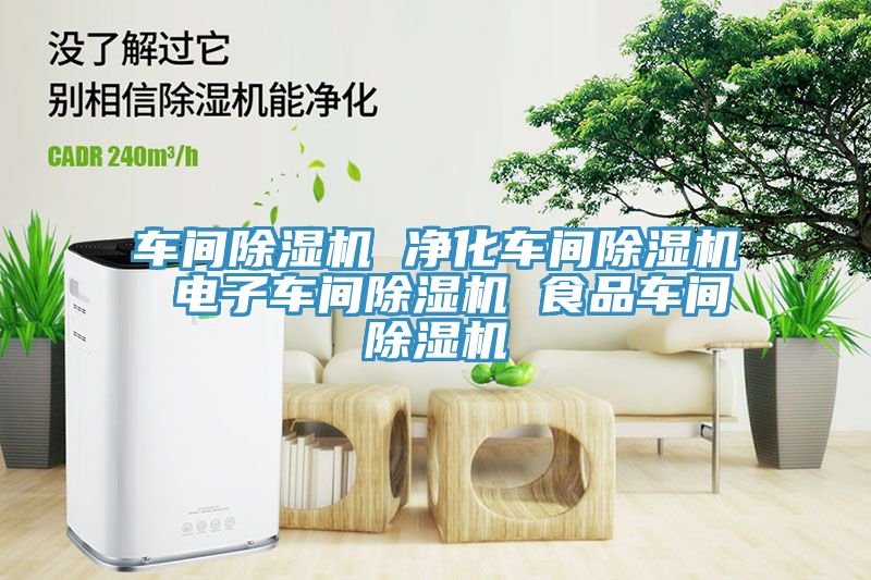 车间除湿机 净化车间除湿机 电子车间除湿机 食品车间除湿机