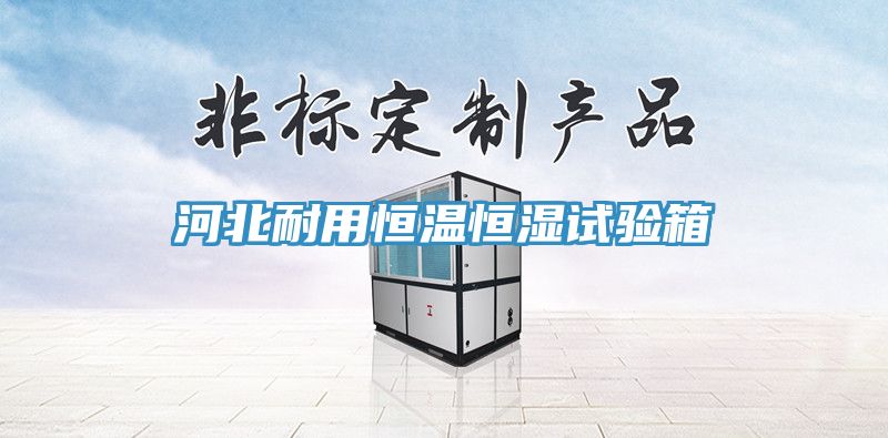 河北耐用恒温恒湿试验箱